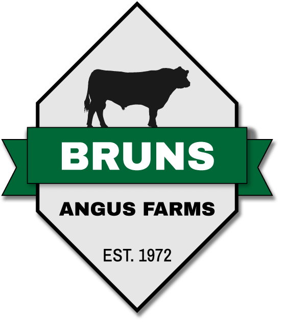 Bruns Angus Logo